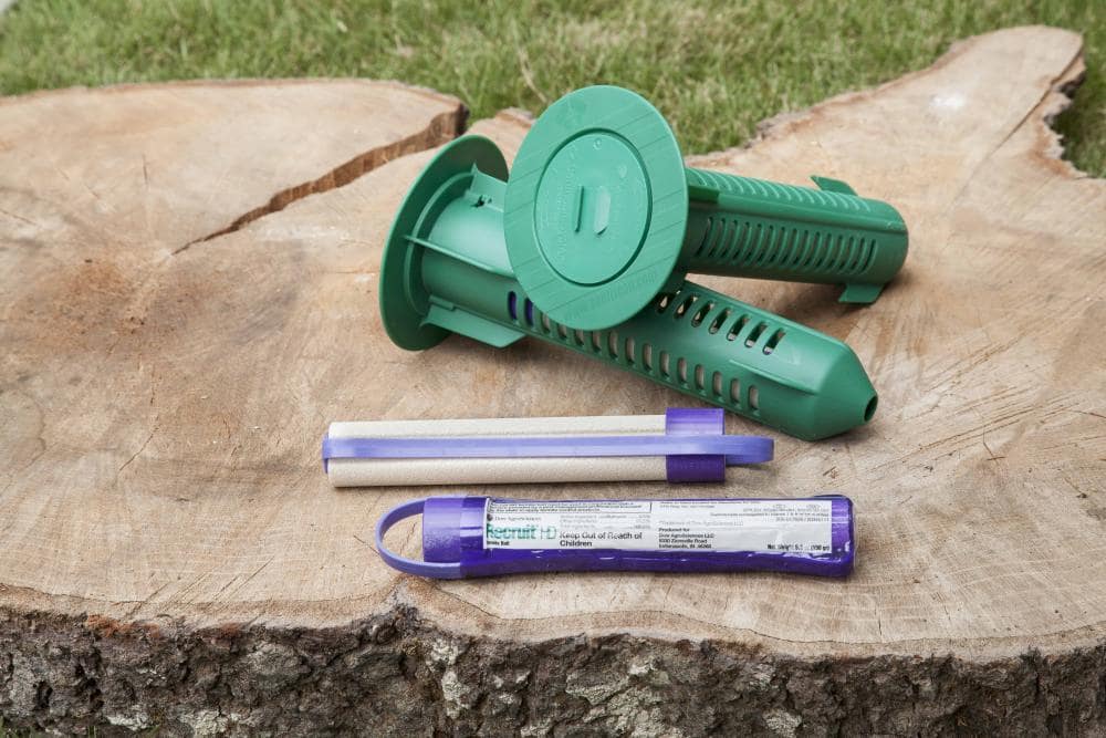 Pest control termite baiting system Pest control service Pest control company Termite control service Termite pest control Bed bugs elimination service Bed bugs treatment Bed bugs removal service Cockroach elimination service Disinfection misting service Mosquito fogging service