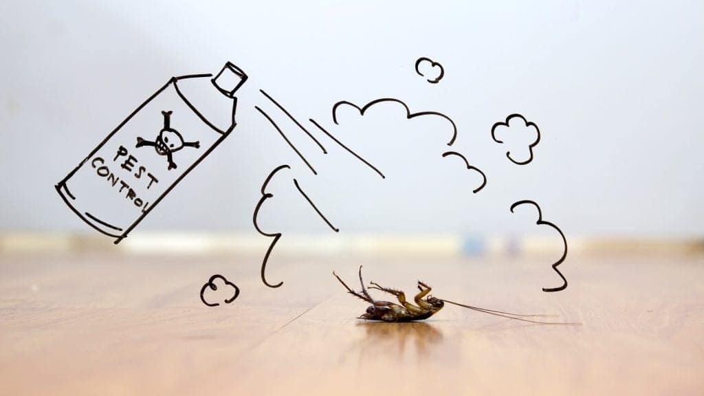 Pest control service Pest control company