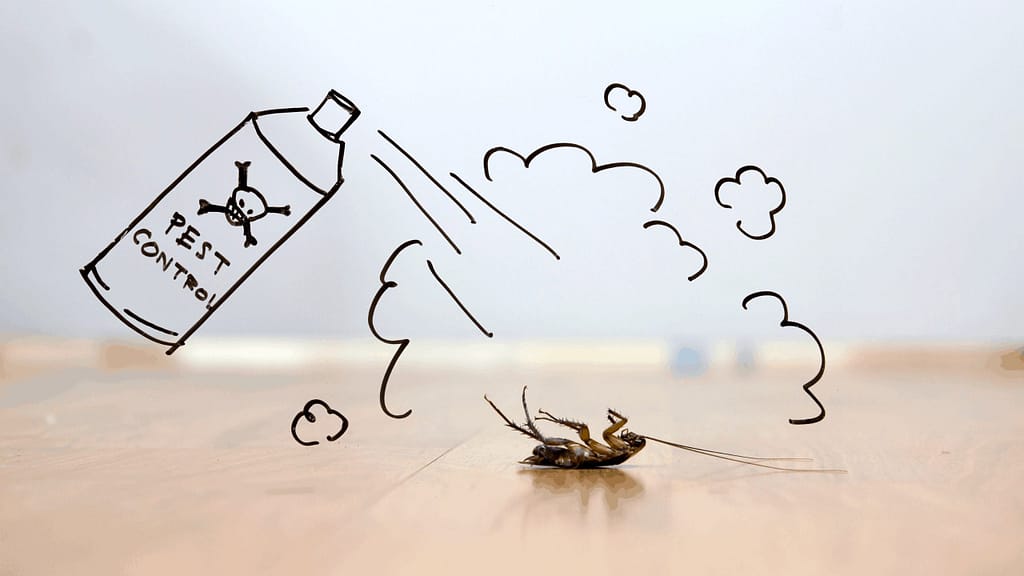 Pest control service Pest control company