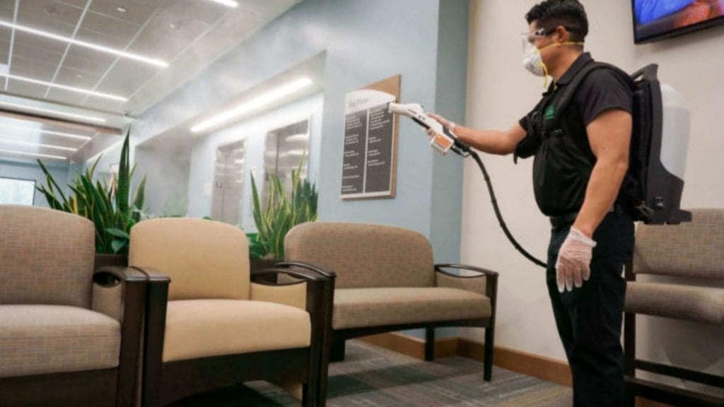 Pest control service Pest control company