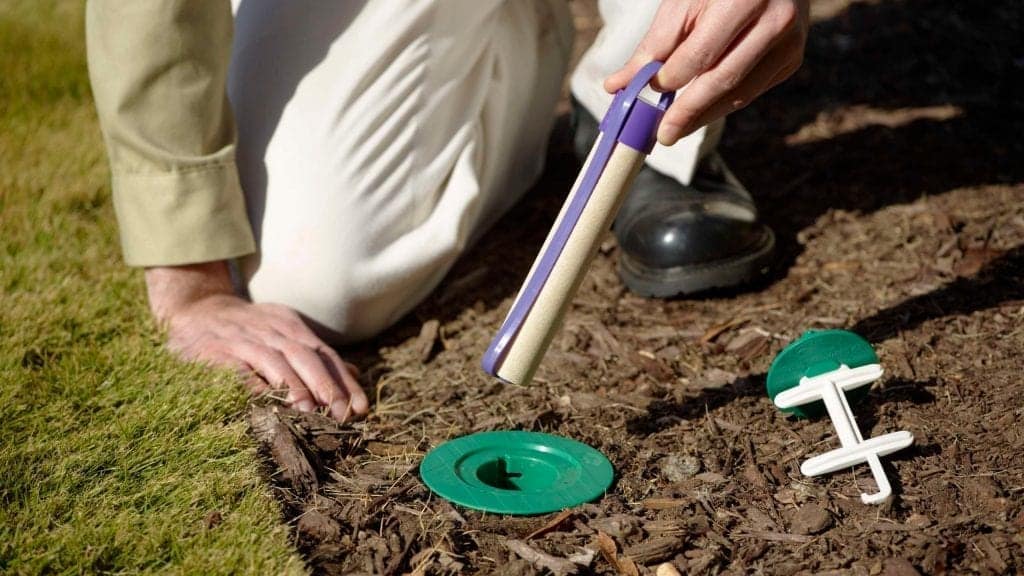 Termite control service Termite pest control