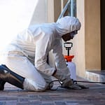 pied piper liquid termite treatment