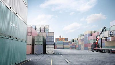 Pest control service Pest control company Termite control service Termite pest control Bed bugs elimination service Bed bugs treatment Bed bugs removal service Cockroach elimination service Disinfection misting service Mosquito fogging service shipping containers in a open space port