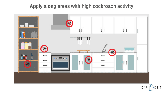 cockroach indication in kitchen area