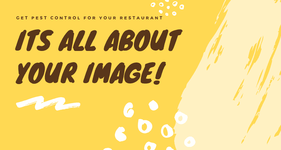 pest control service in restaurant for their image